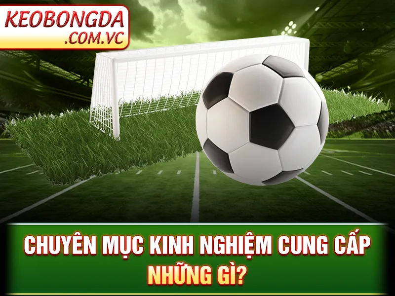 Kinh Nghiệm Cá Cược - Chuyên mục kinh nghiệm cung cấp những gì?