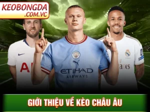 Kèo Châu Âu - Loại Kèo Cược Được Nhiều Dân Cược Lựa Chọn