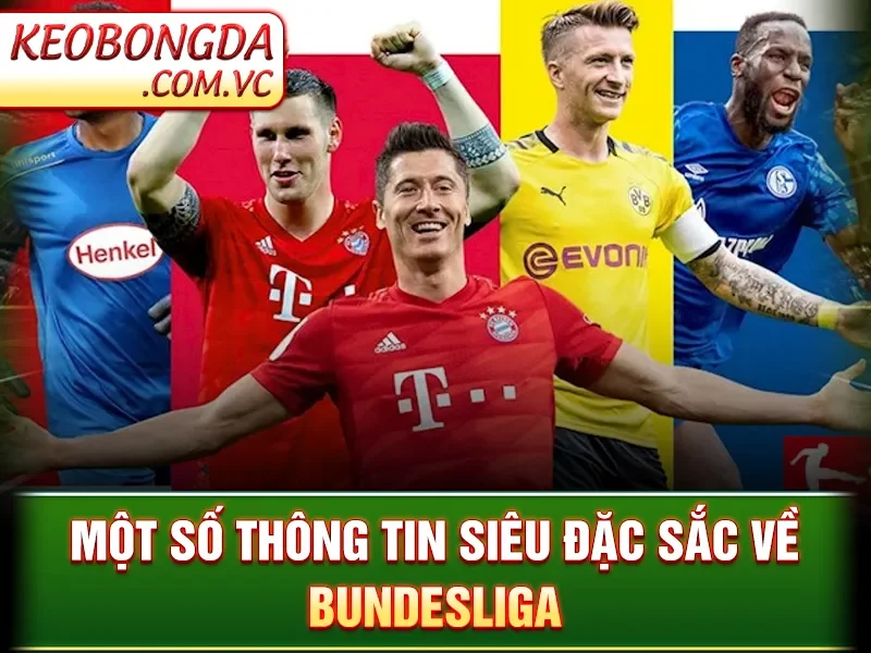 Bundesliga – Giải Bóng Đá Đỉnh Cao Làm Rực Sáng Sân Cỏ Đức
