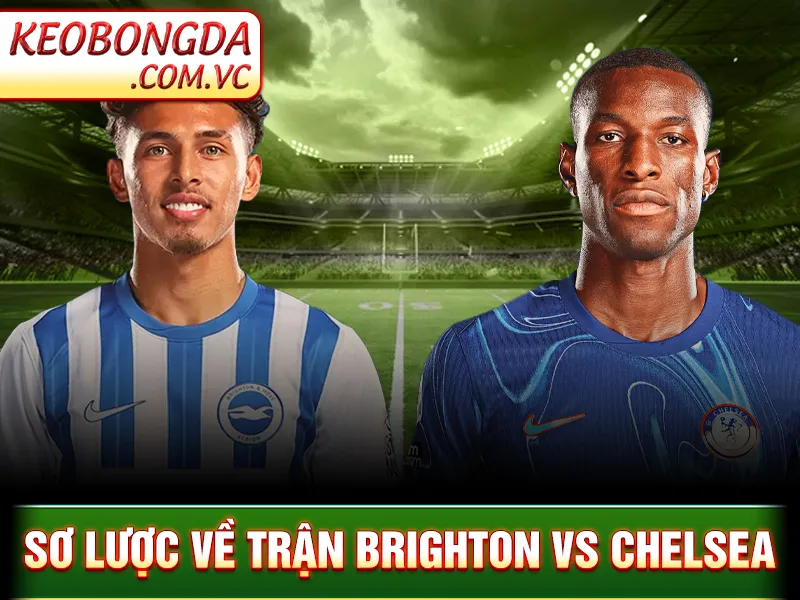 Brighton Vs Chelsea: Cuộc Đụng Độ Đầy Tính Chiến Thuật 1 Brighton Vs Chelsea: Cuộc Đụng Độ Đầy Tính Chiến Thuật