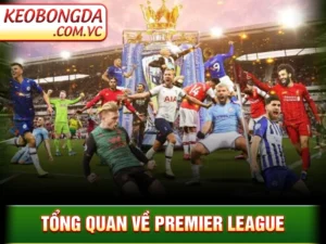 Premier League - Giải Đấu Bóng Đá Khốc Liệt Nhất Hành Tinh
