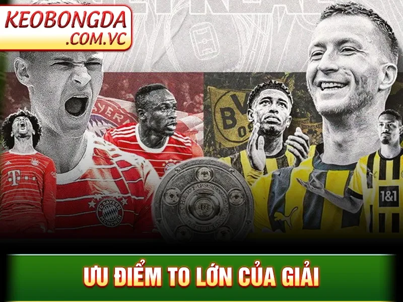 Bundesliga - Giải Bóng Đá Đỉnh Cao Làm Rực Sáng Sân Cỏ Đức 3 Ưu điểm to lớn của giải